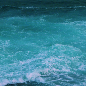 搓澡工硬了Gay2022
